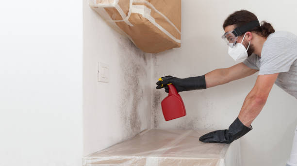Professional Mold Inspection And Testing technician working in Upper Falls, MD